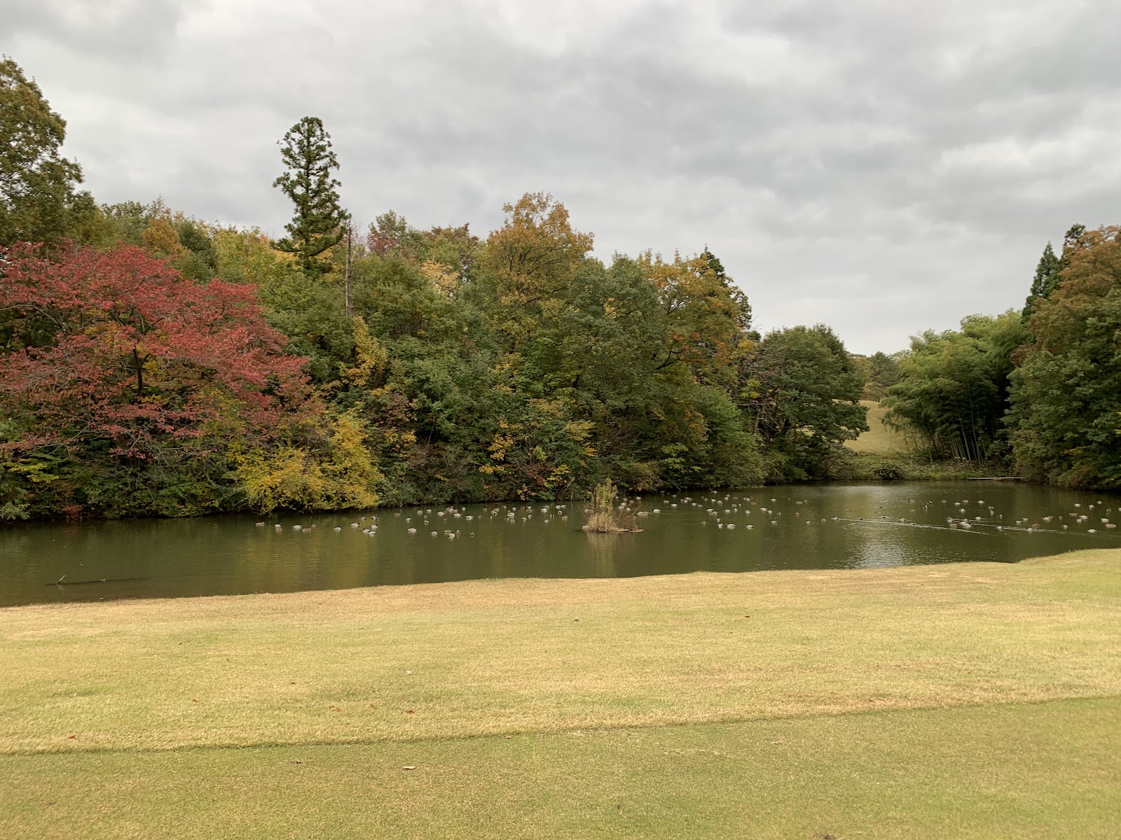 Hakusan Country Club Sensui Course - 6