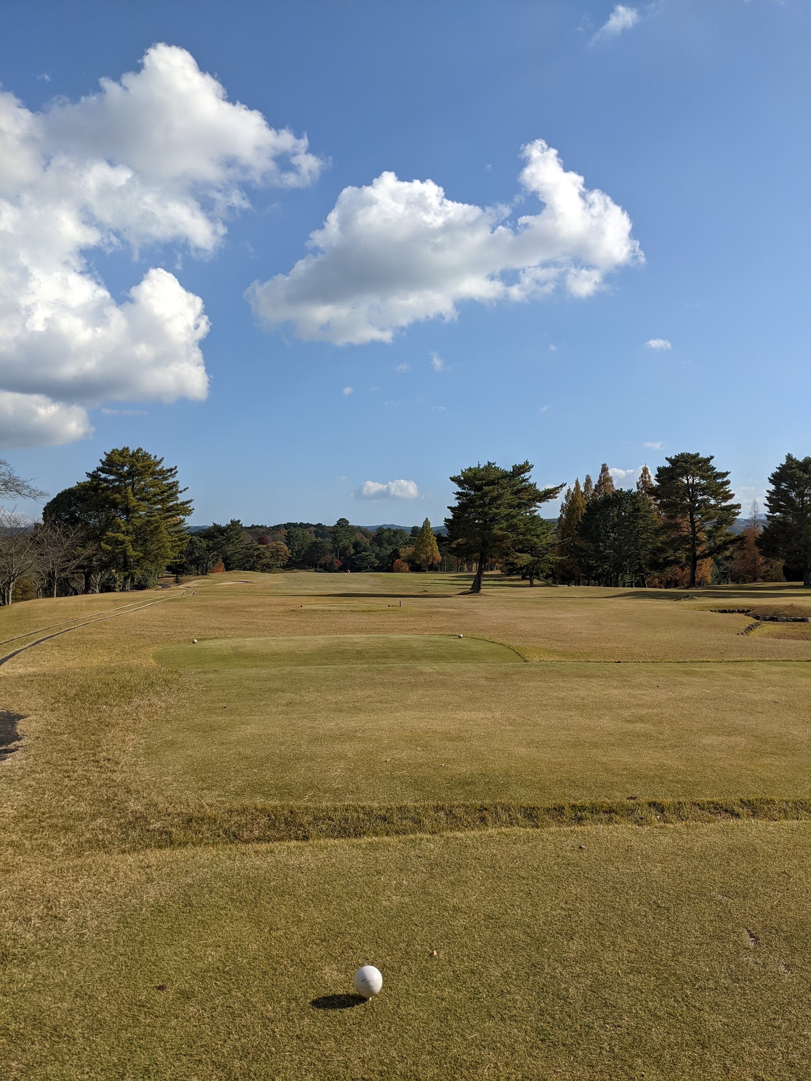 Ariji Country Club Hanagaki Cource - 3