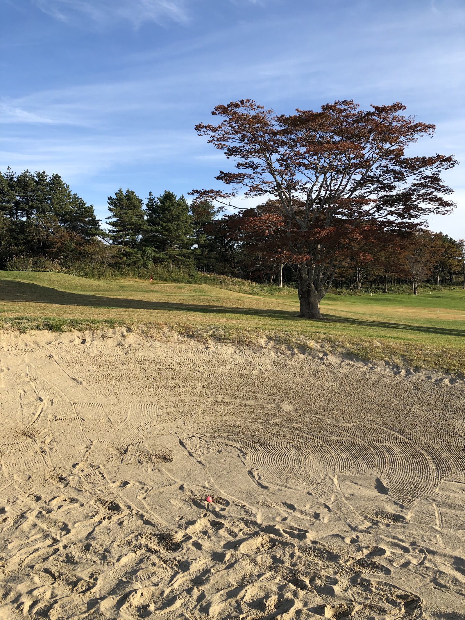 Shimokita Three Hundred Golf Club - 3