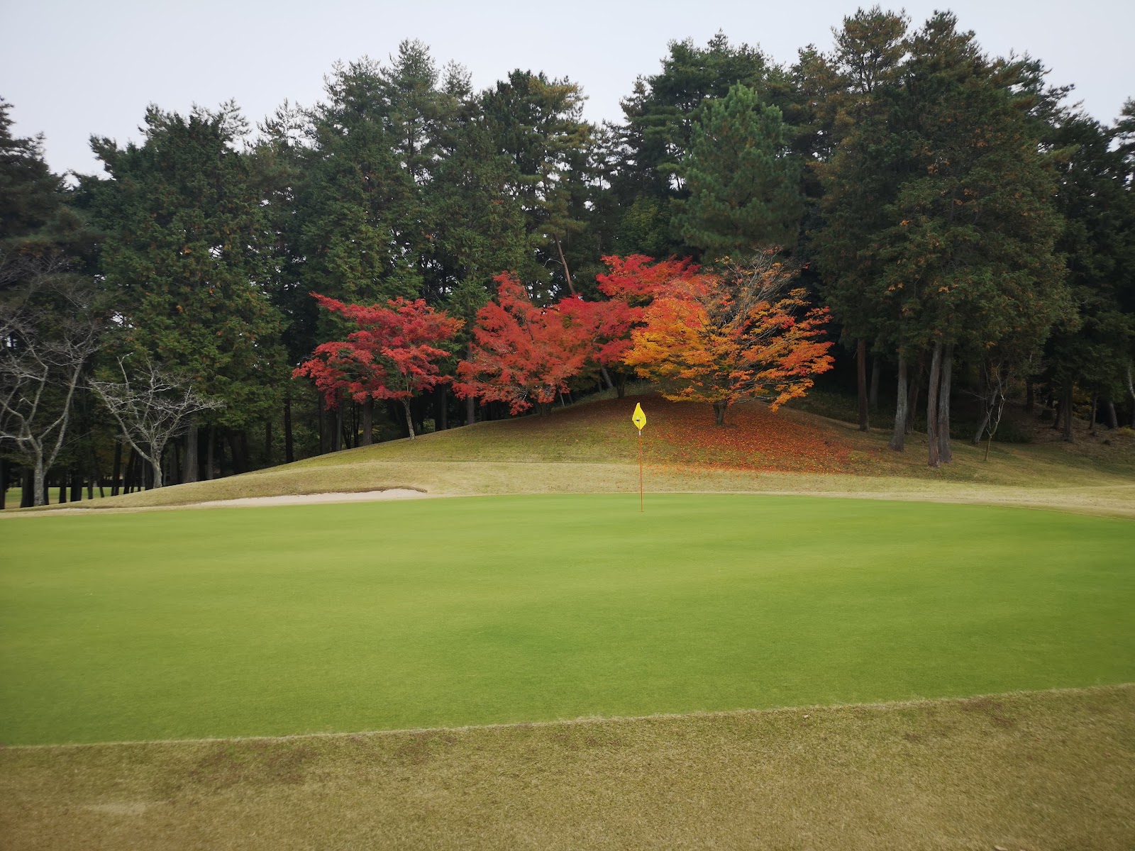 Biwako Country Club - 6