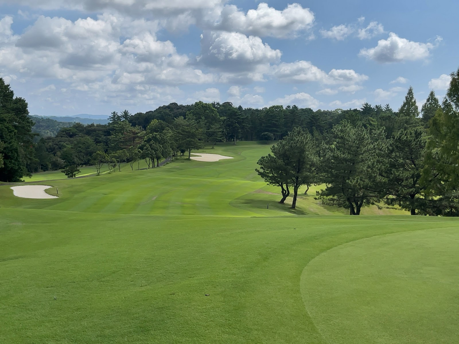 The Forest Country Club