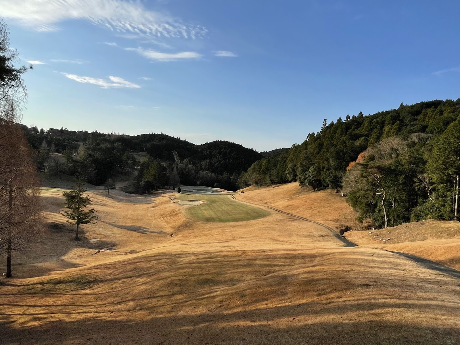 The Forest Country Club - 3