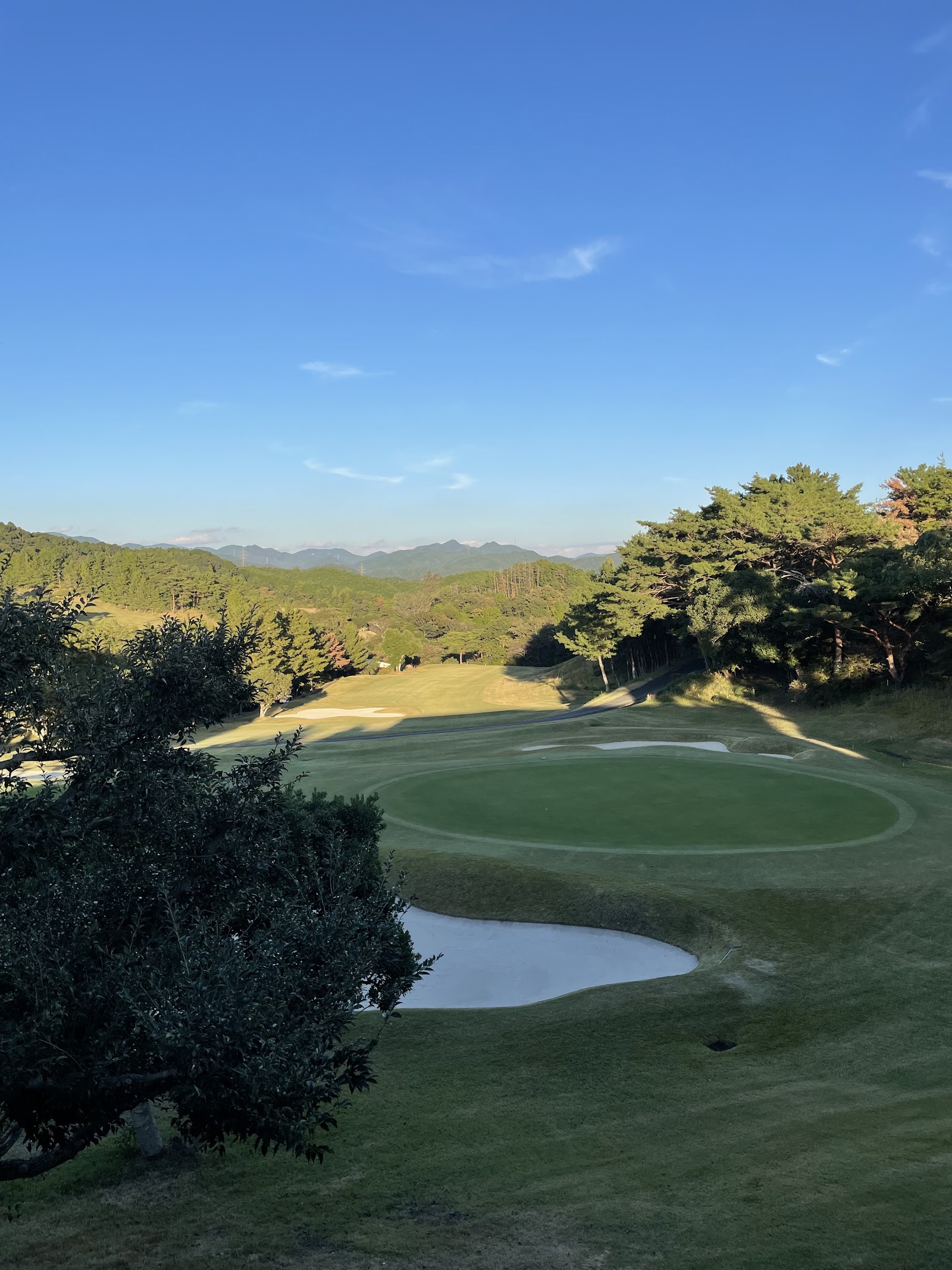 The Forest Country Club - 4