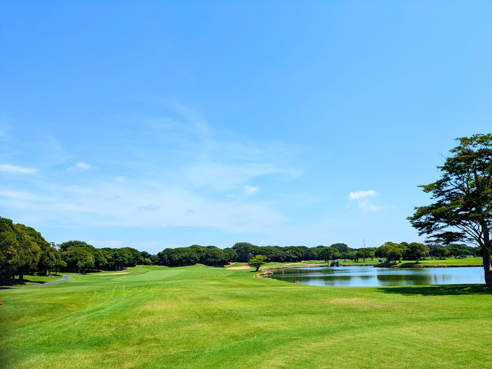 Wild Duck Country Club - 2