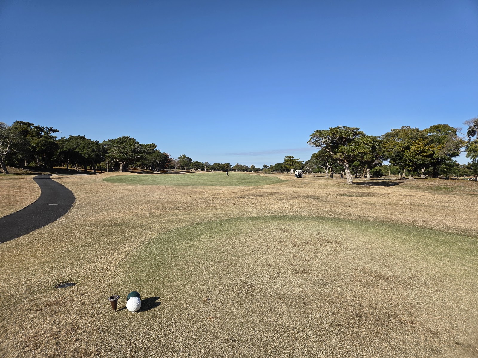 Wild Duck Country Club - 5