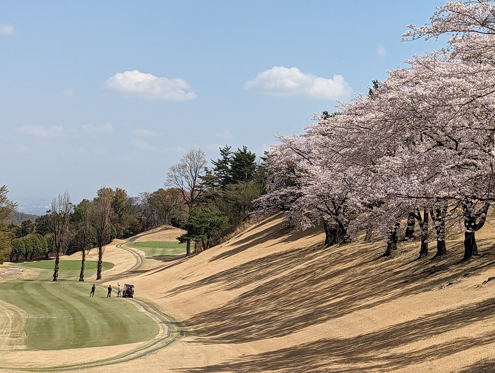 Nagotoro Country Club - 6