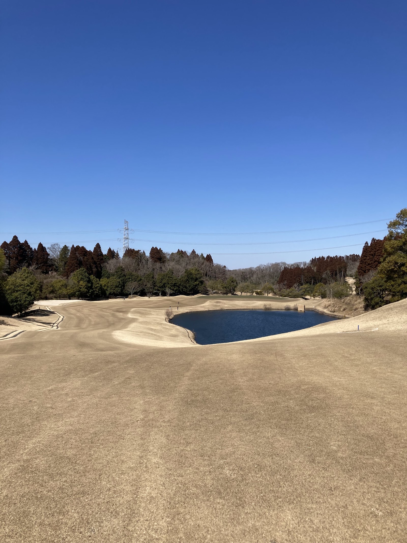 Mille-feuille Golf Club - 5