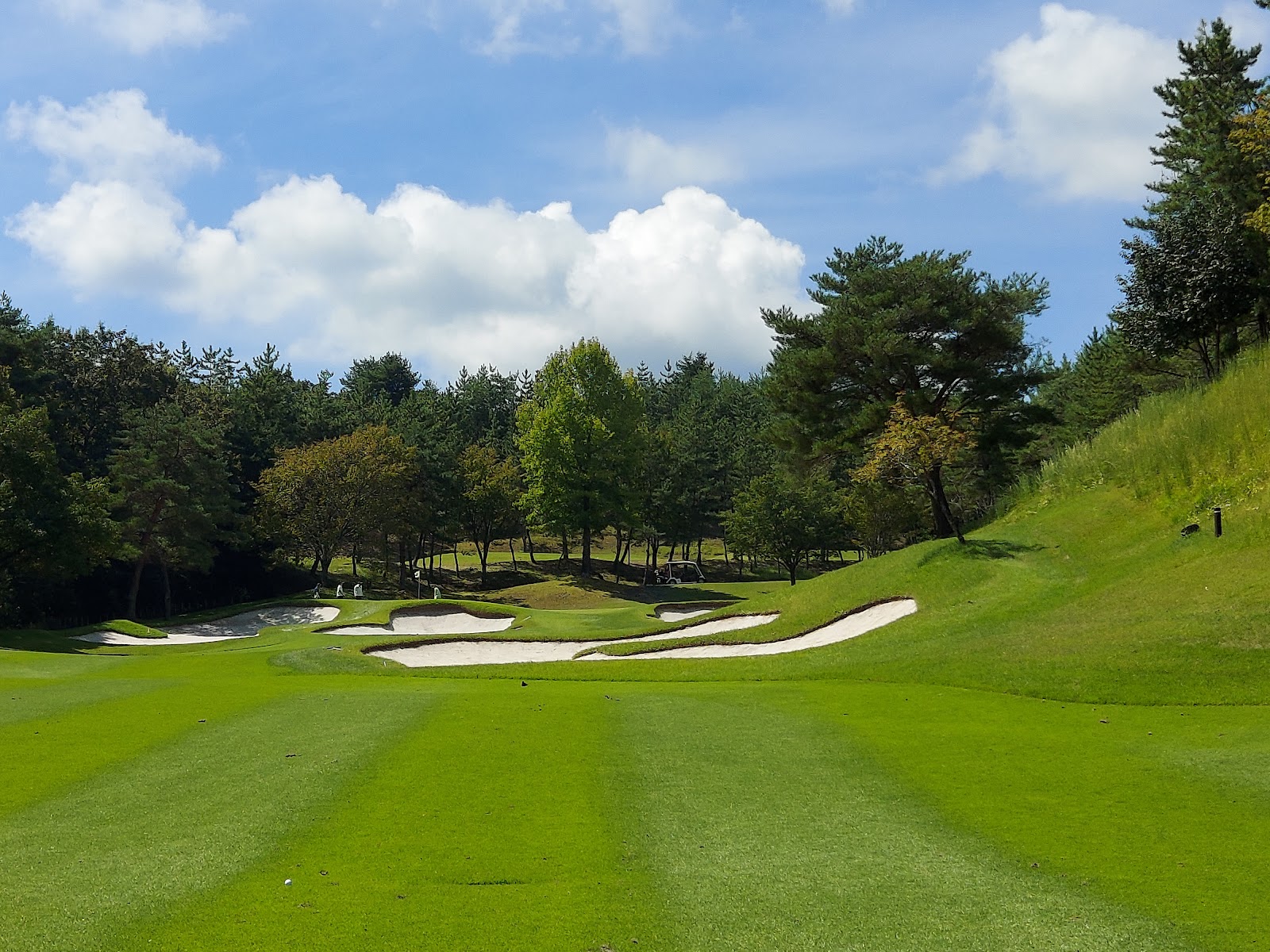 The Country Club - 6