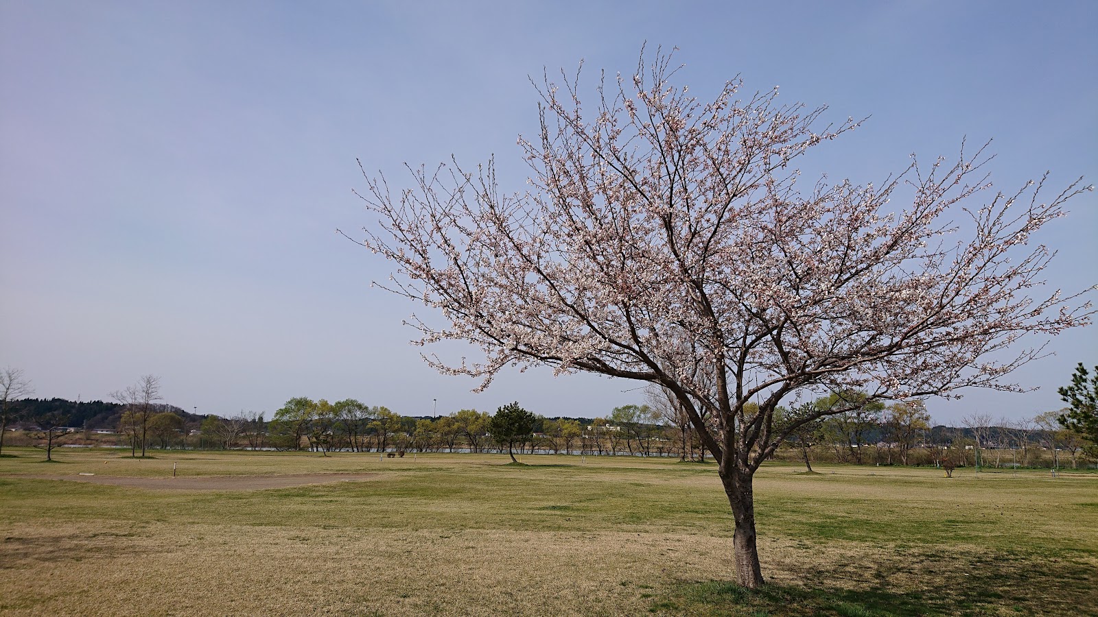 Akita Riverside Green - 4