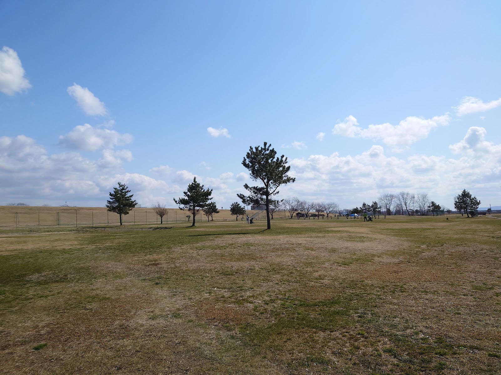 Akita Riverside Green - 5