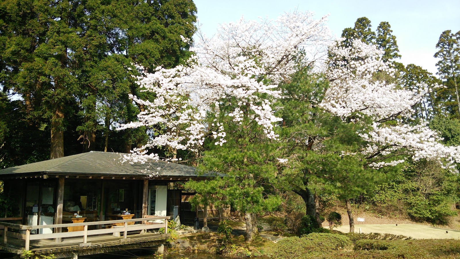 Kureha Country Club - 6
