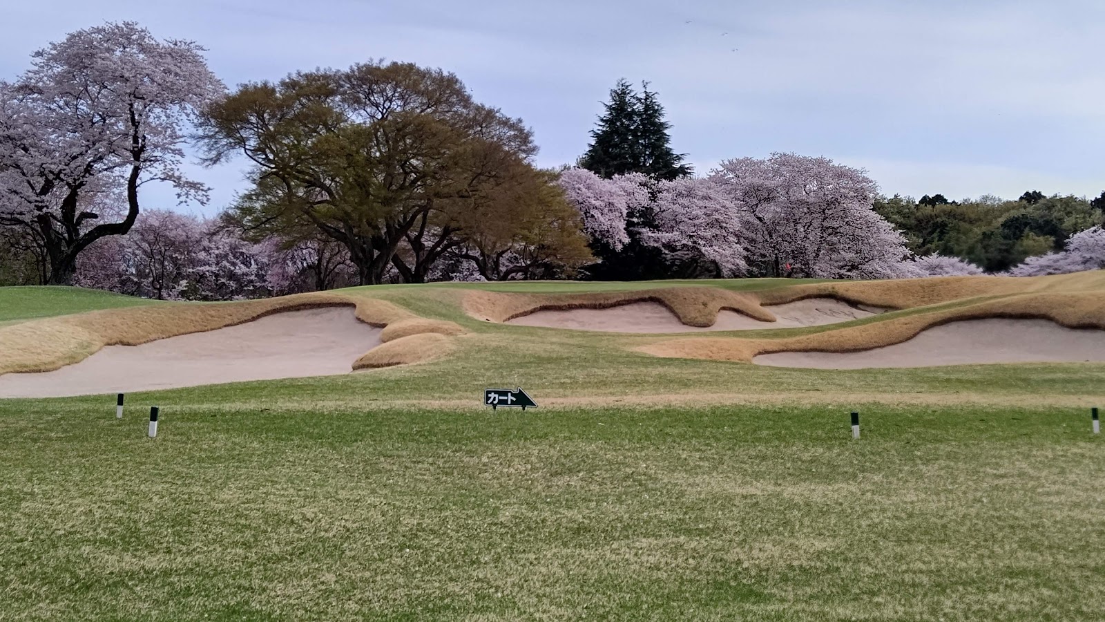 Abiko Golf Club - 4