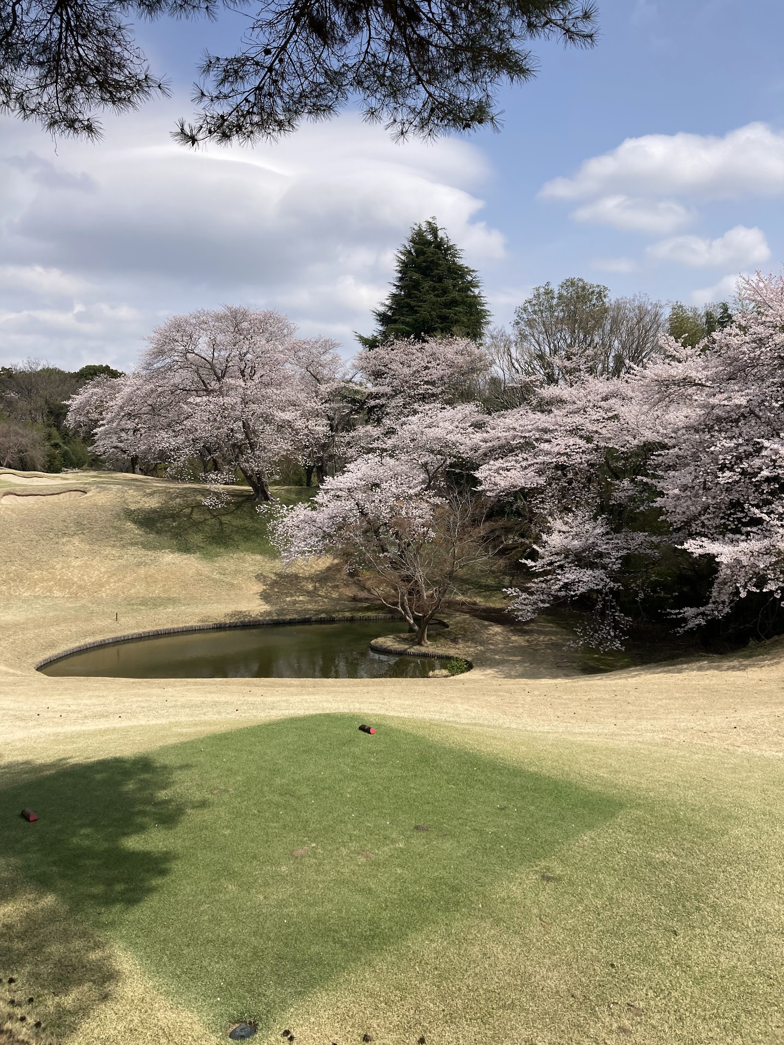 Abiko Golf Club - 6