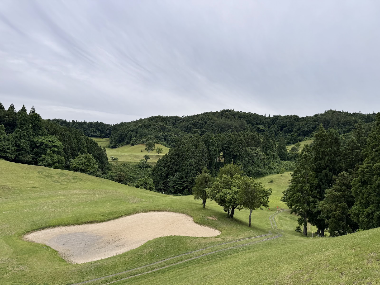 Daizan Camellia Country Club