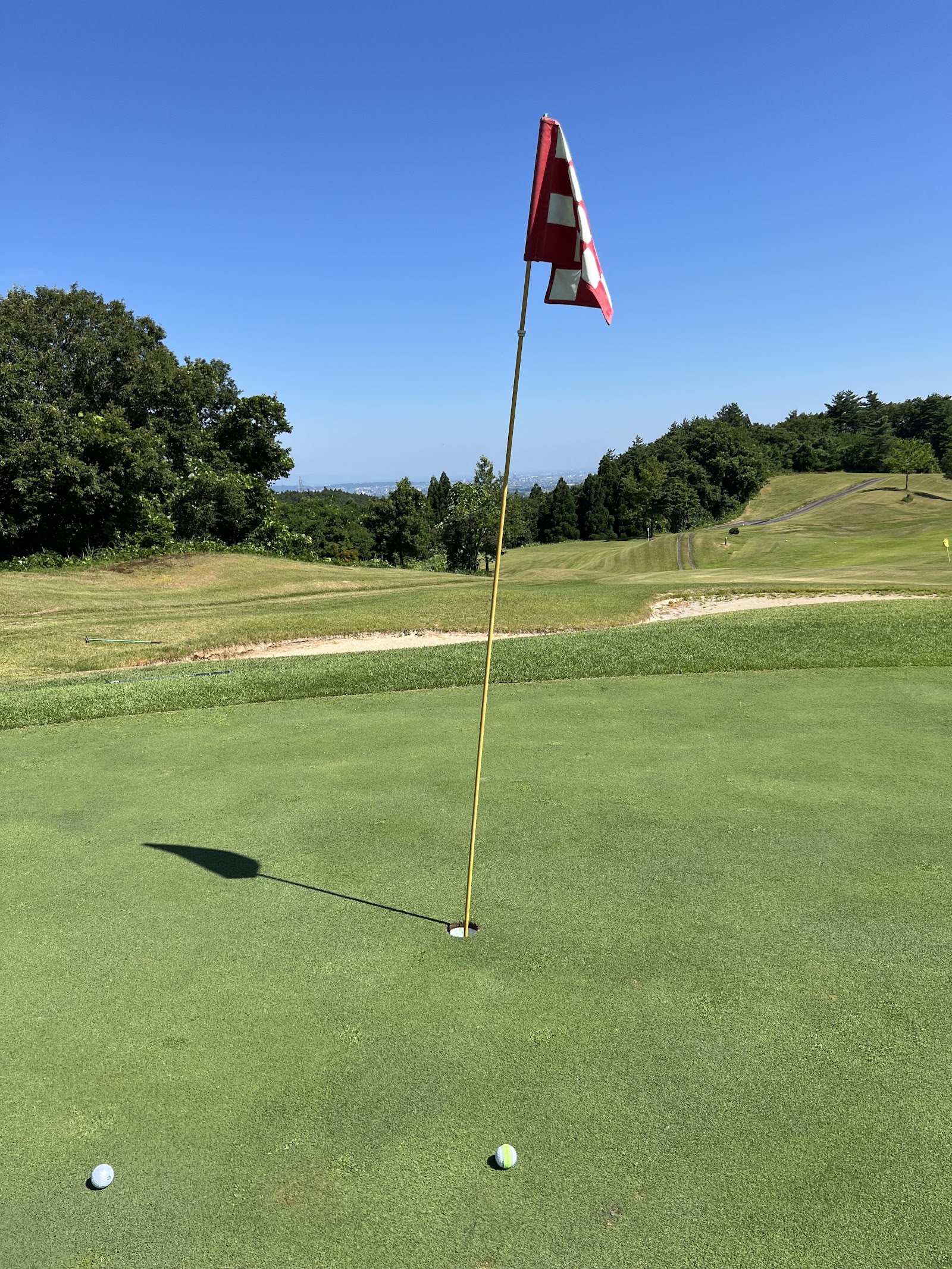 Daizan Camellia Country Club - 6