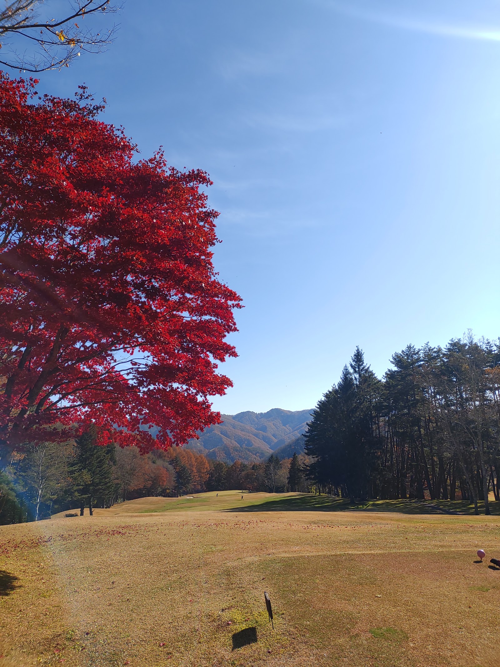 Araragi Country Club - 6