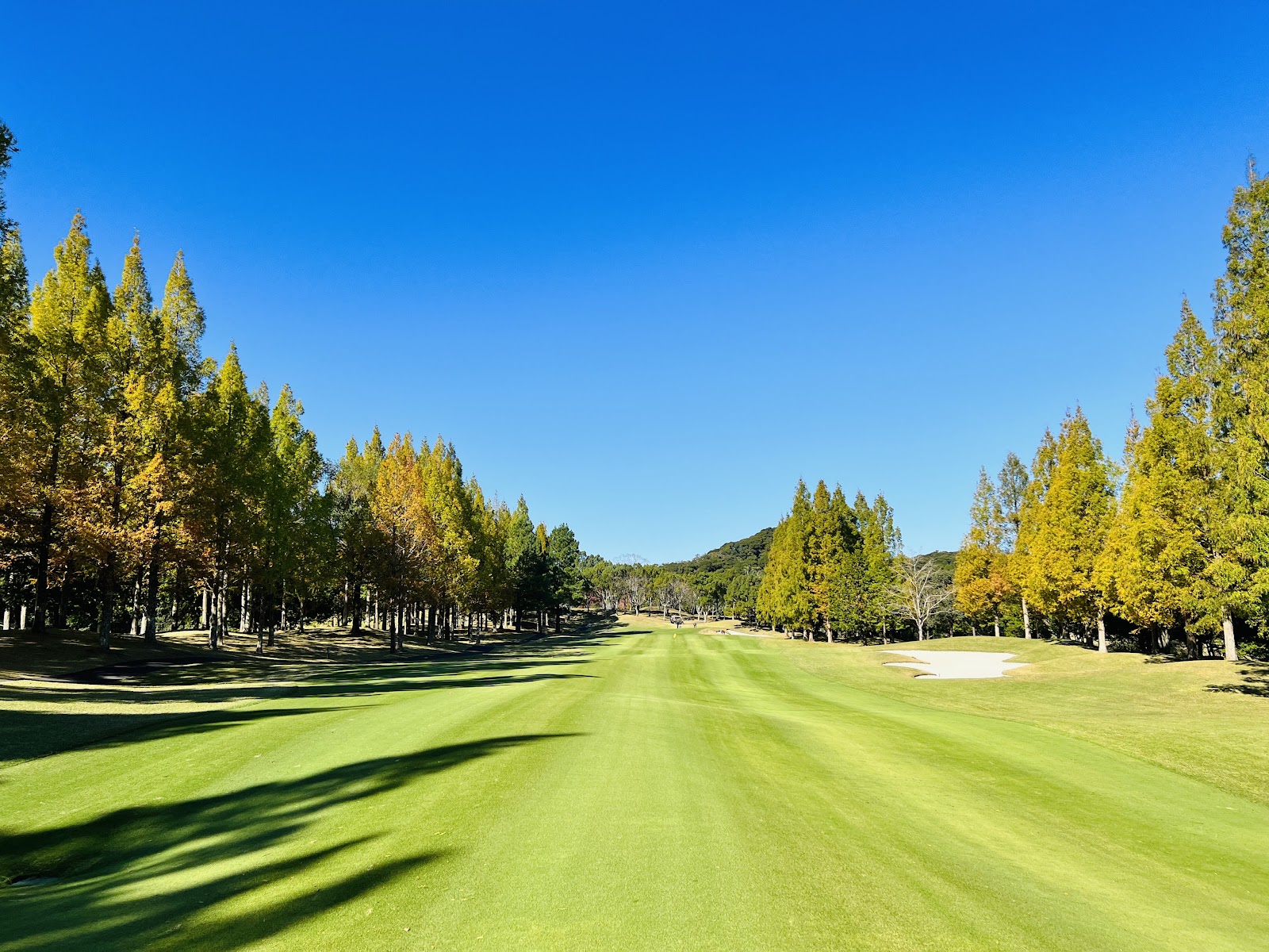 Fuji OGM Golf Club Ichihara Course - 4