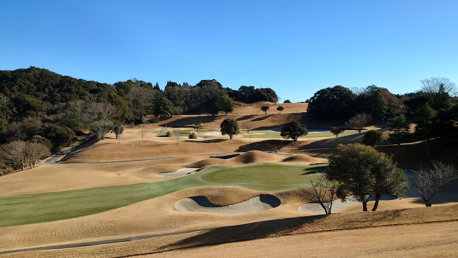 Kamo Golf Club - 2