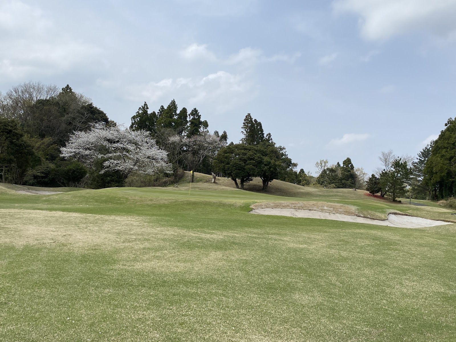 Kamo Golf Club - 3
