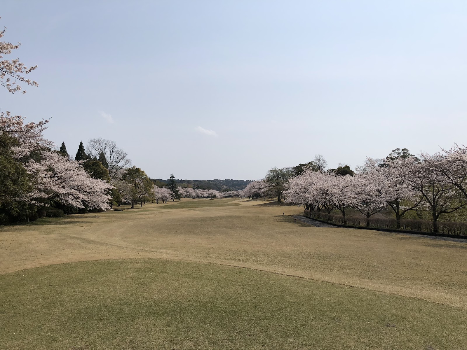 Holin Country Club - 5