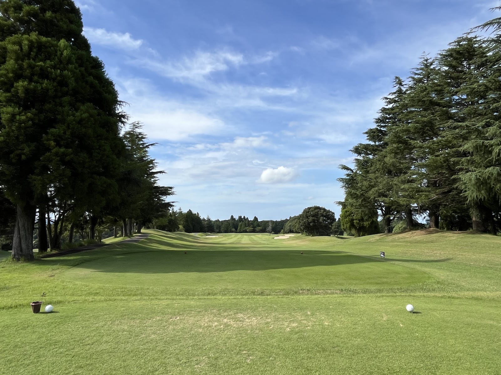 Dai-Chiba Country Club - 4