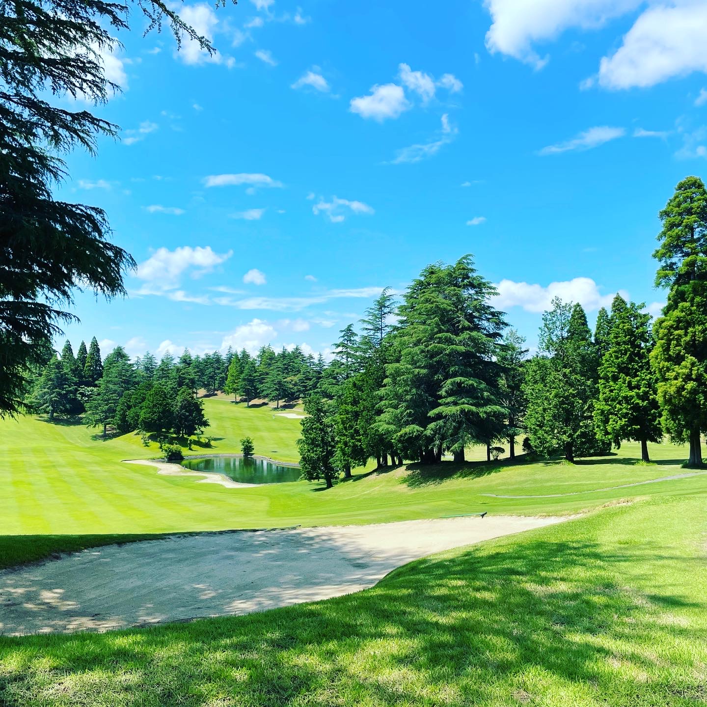 Chiba Shin-Nippon Golf Club