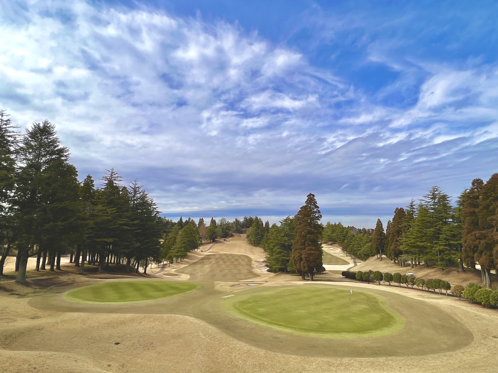 Chiba Shin-Nippon Golf Club - 5