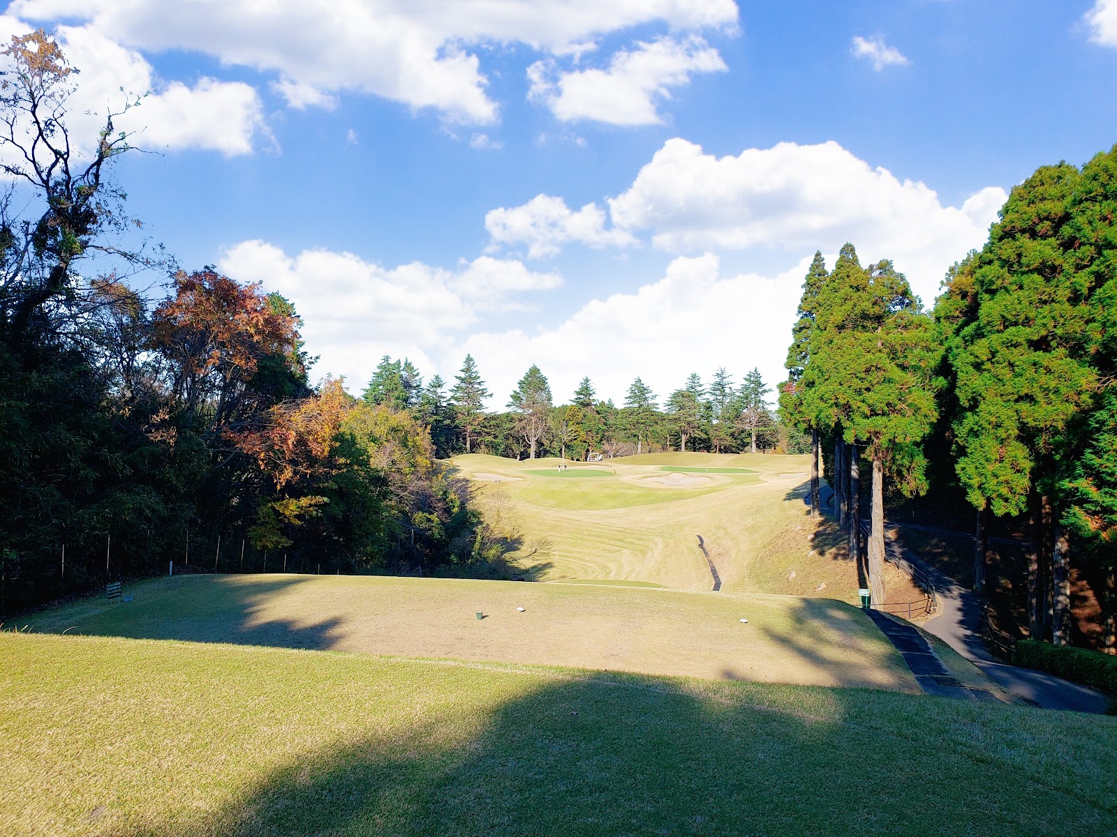 Chiba Shin-Nippon Golf Club - 6