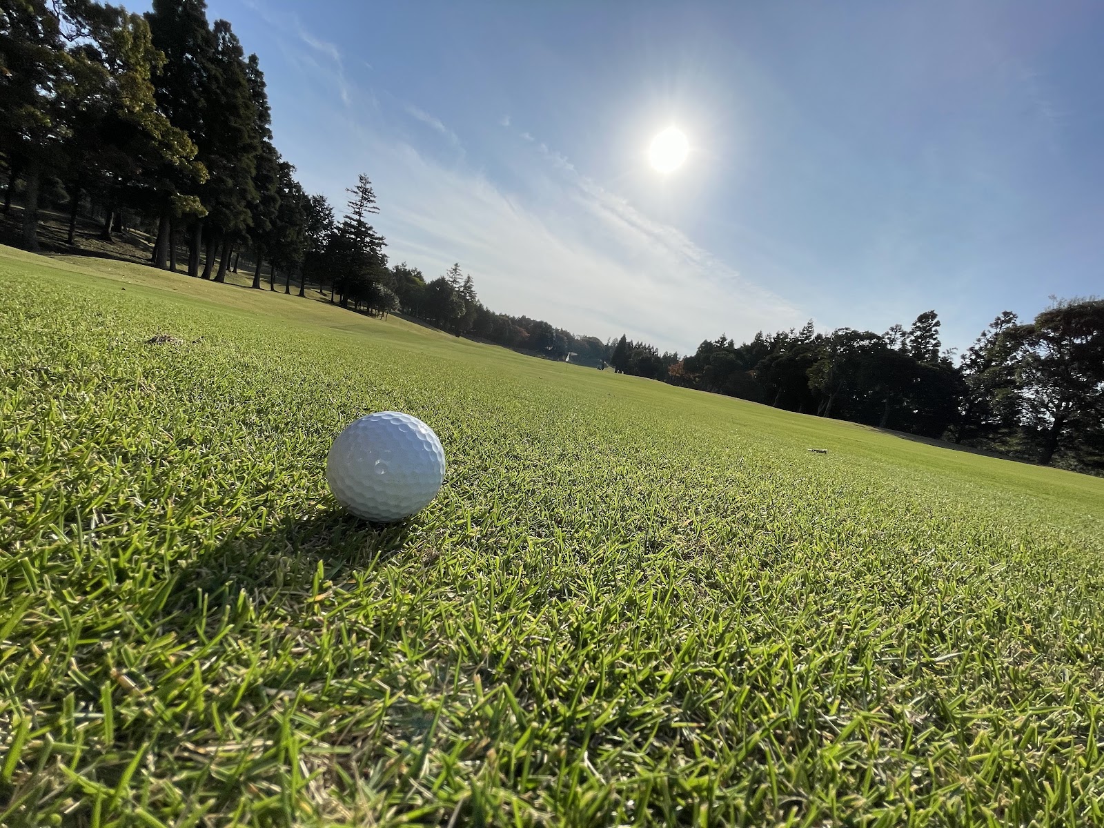 Lotte Minkichi-dai Country Club - 4