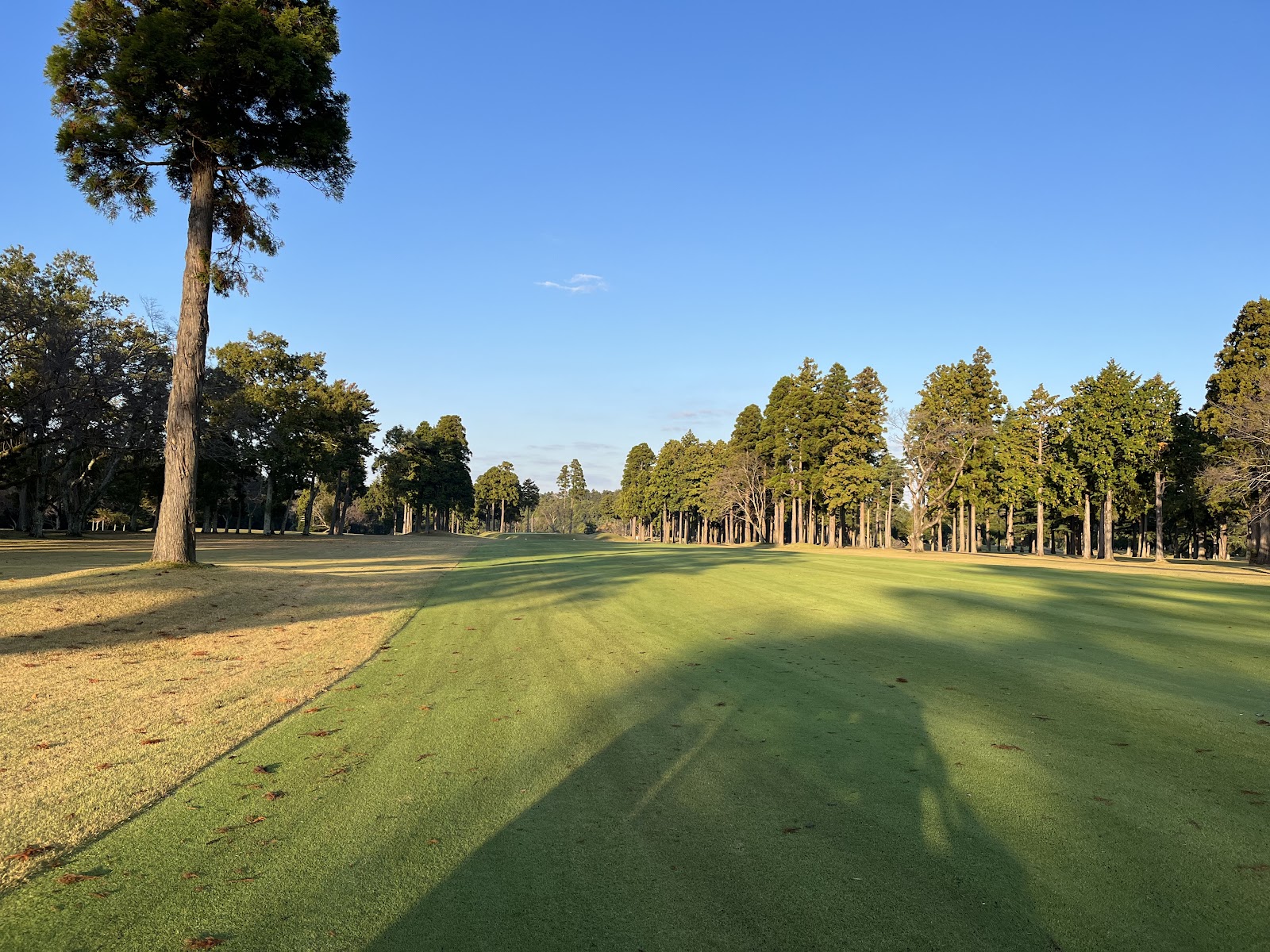 The National Country Club Chiba - 2
