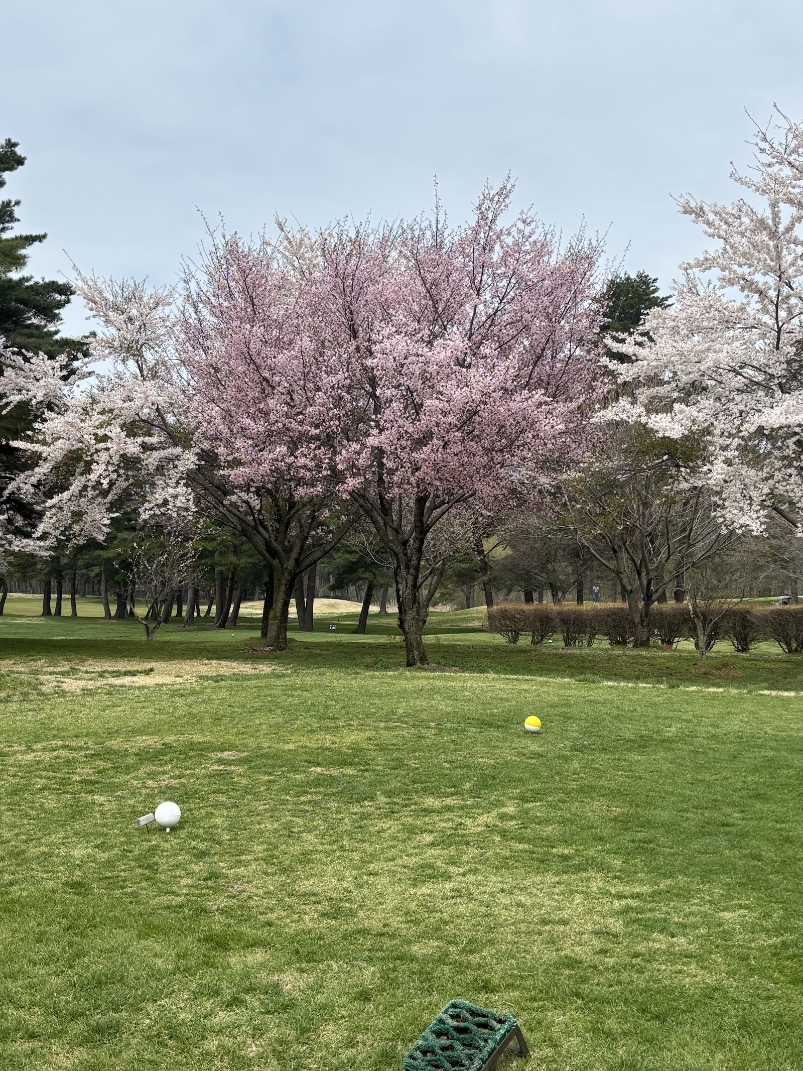 Hachinohe Country Club - 6