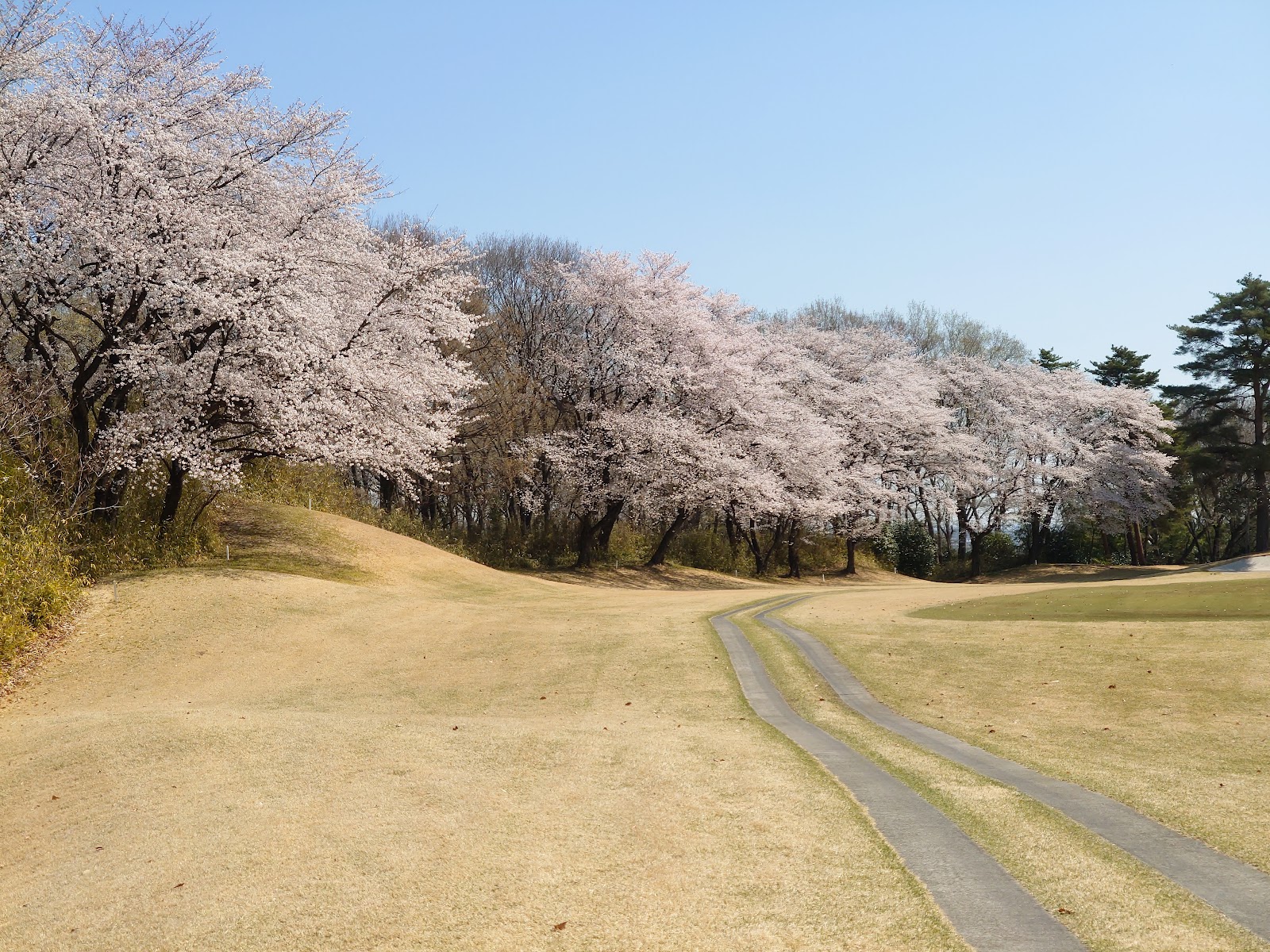 Kodama Country Club - 6