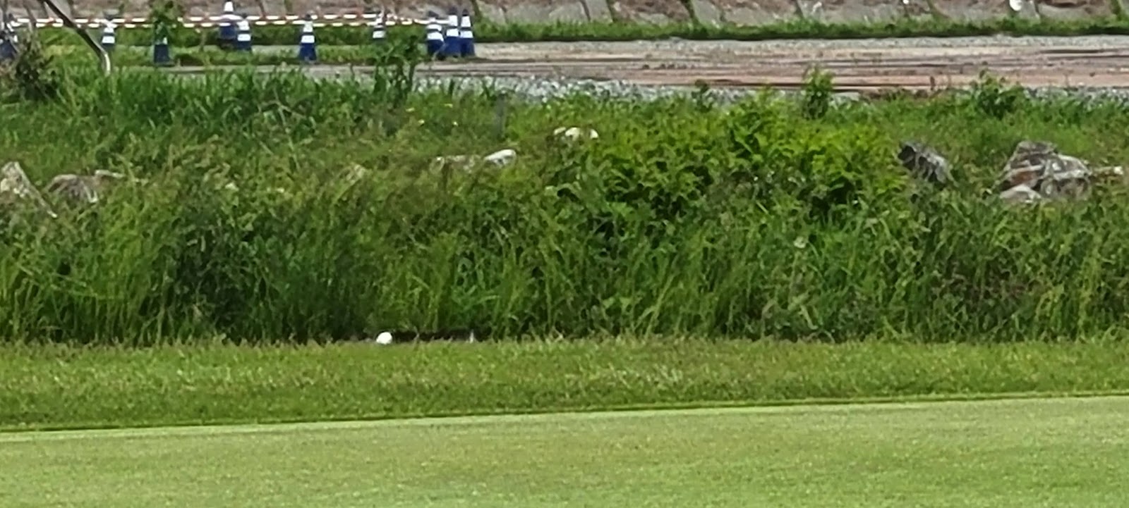 Hachinohe Golf Club - 6