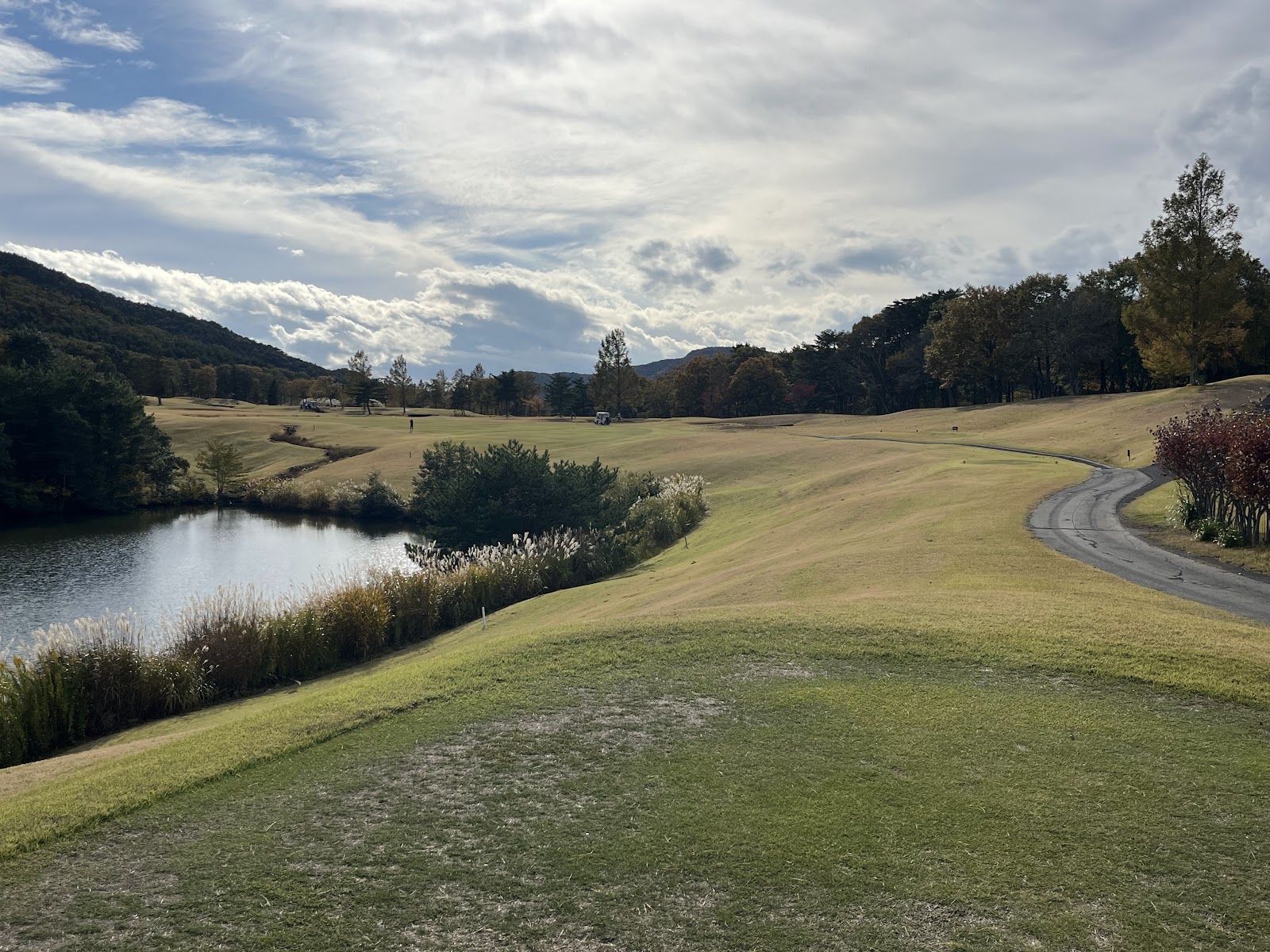Odama Country Club - 5