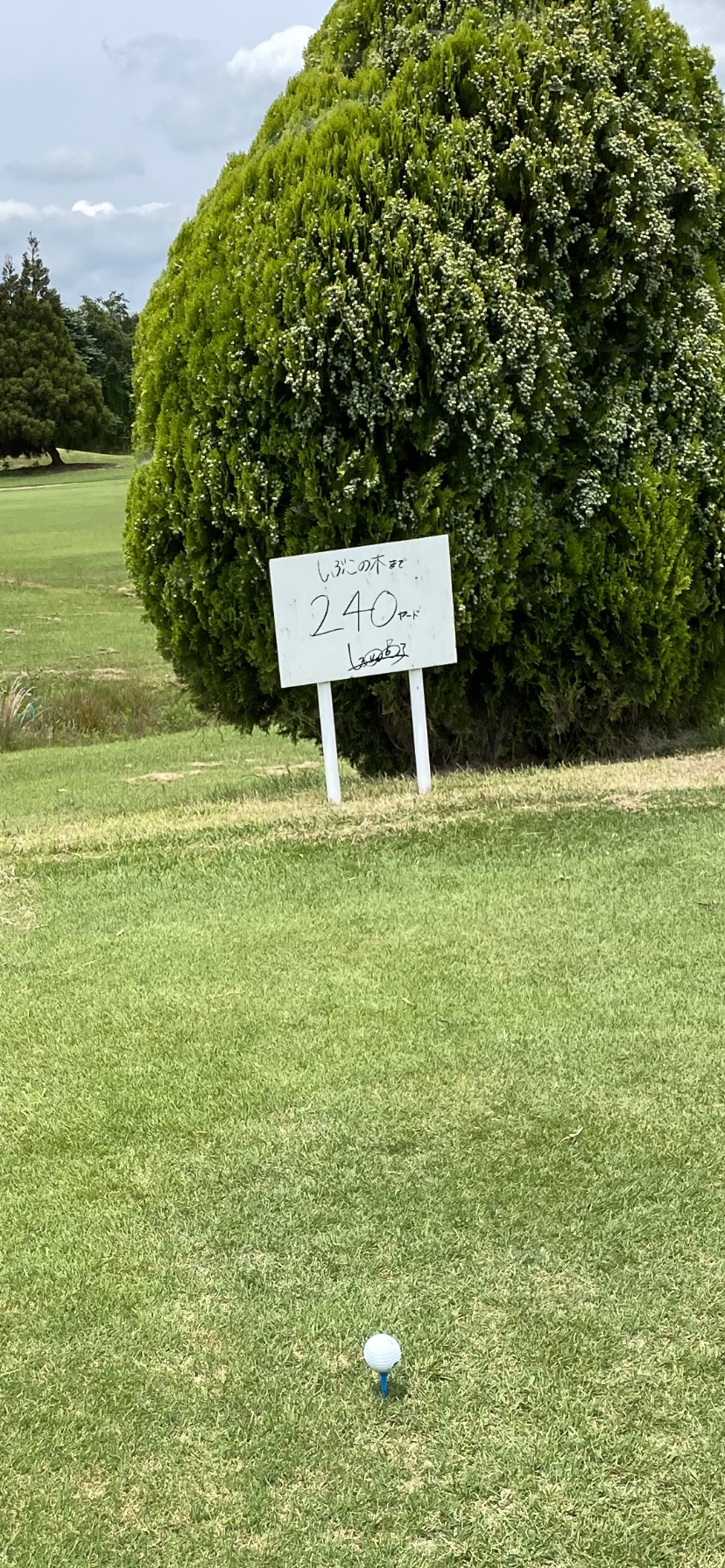 Osafune Country Club - 4
