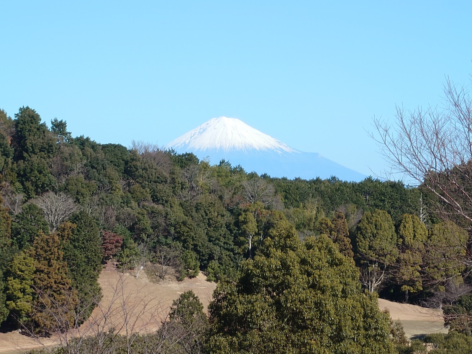 Fujieda Golf Club - 3