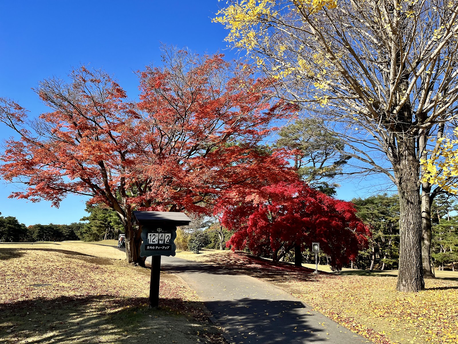 Higashi-Matsuyama Country Club - 5