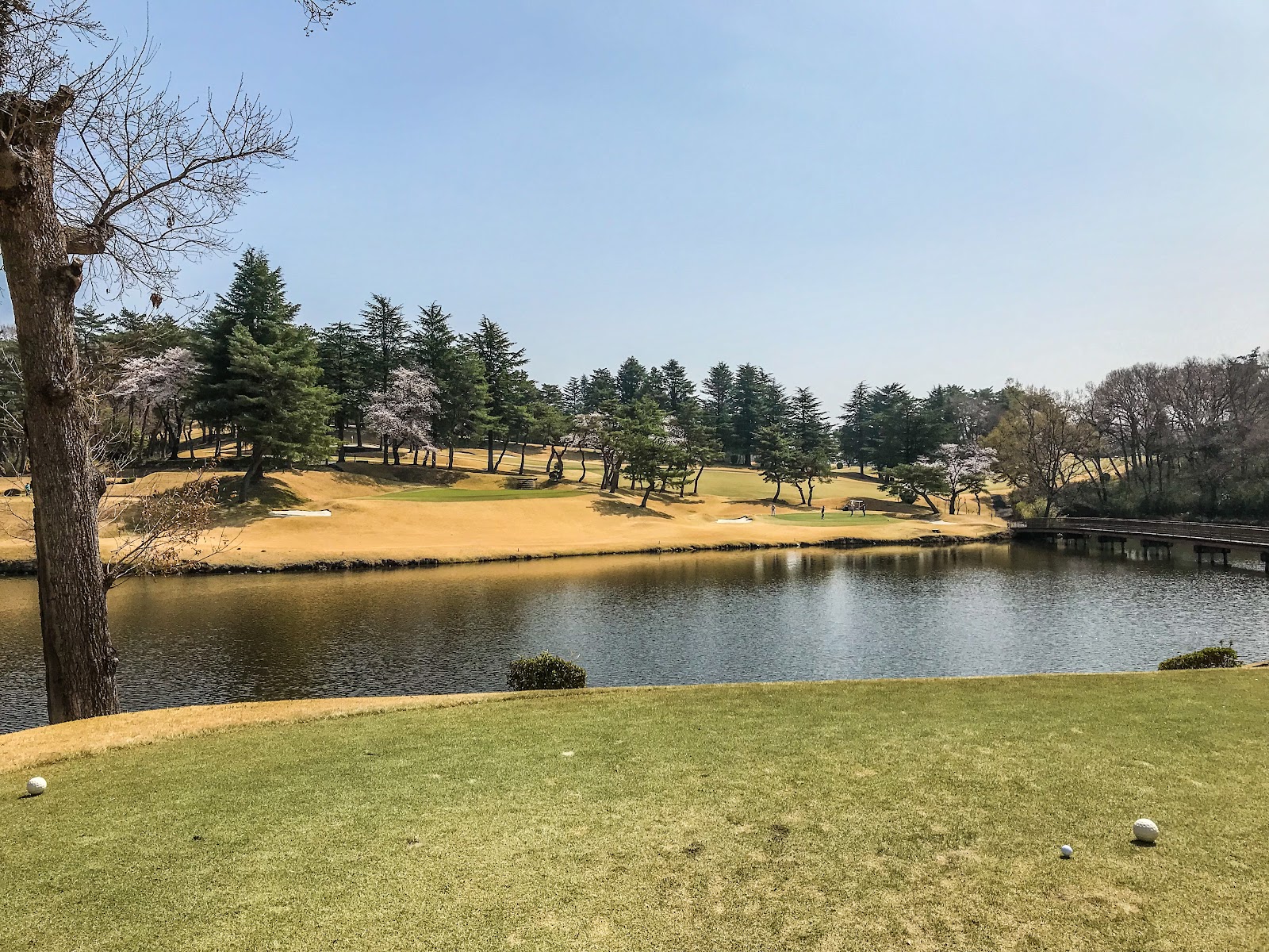 Kawagoe Country Club - 2