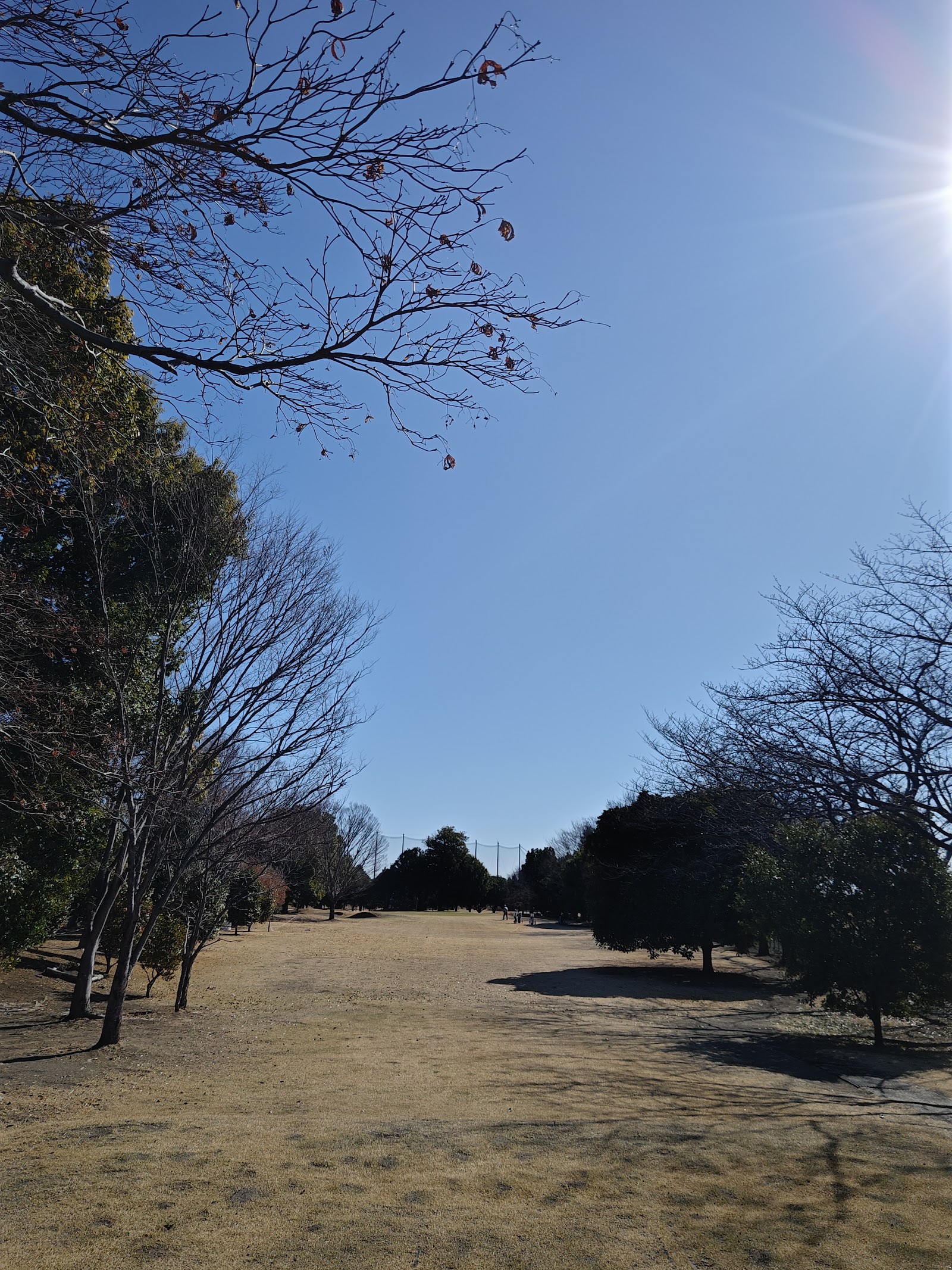 Tamamura Park Golf Club - 3