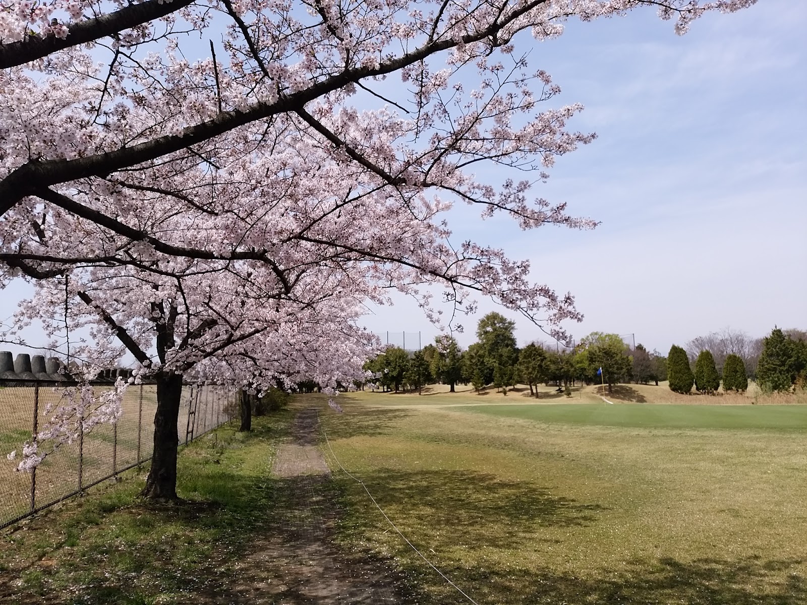 Tamamura Park Golf Club - 4
