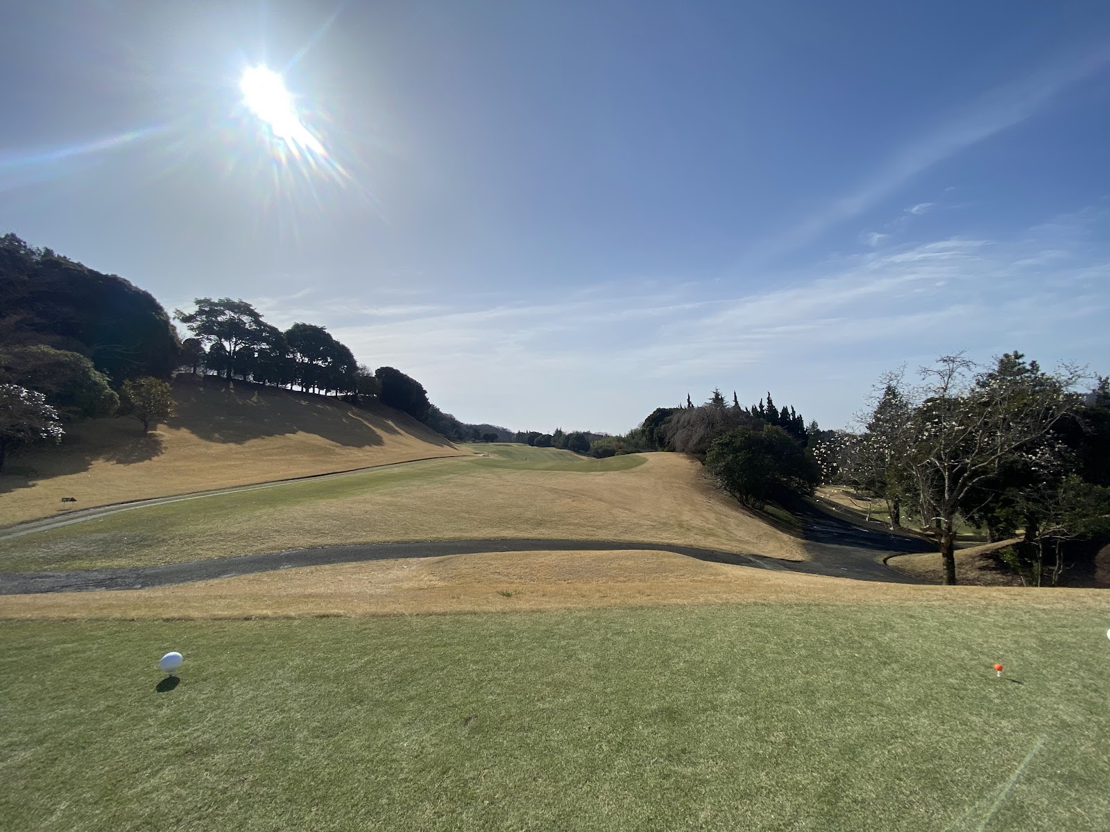 Nakatsugawa Country Club - 3
