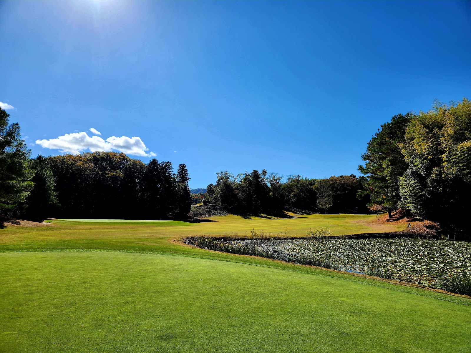Dunlop Golf Course