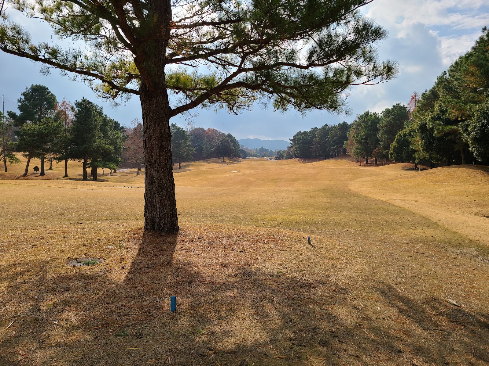 Dunlop Golf Course - 2