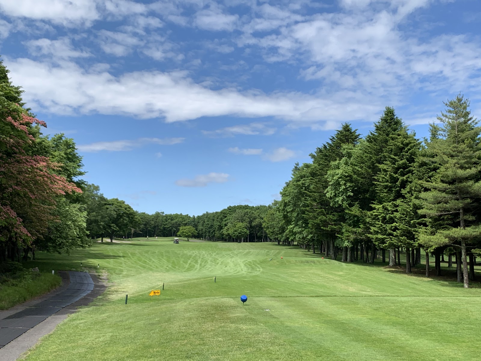 Chitose Airport Country Club - 2