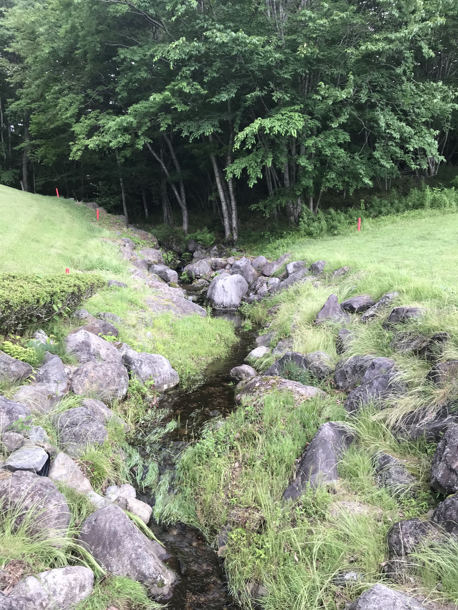 Nasu Highland Golf Club - 5