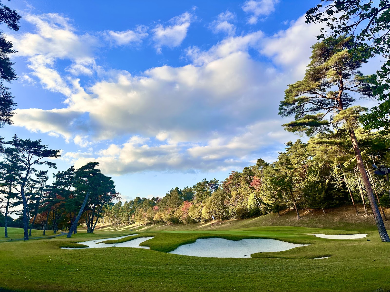 Meishin Yokaichi Country Club - 4