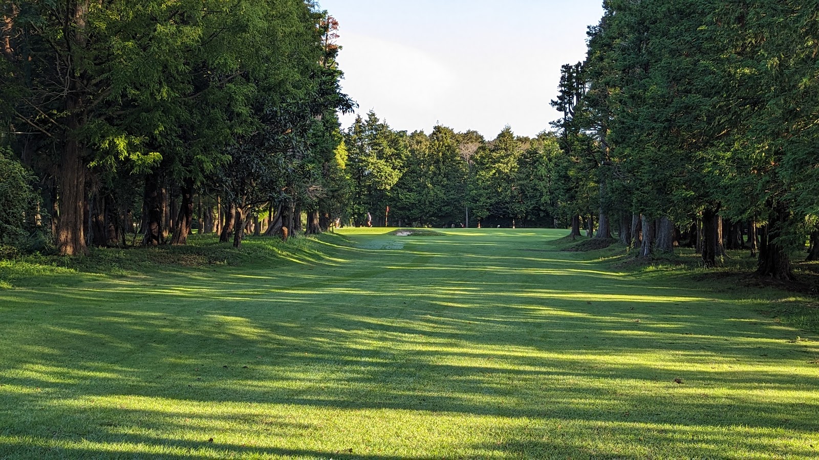 Shiroi Golf - 6