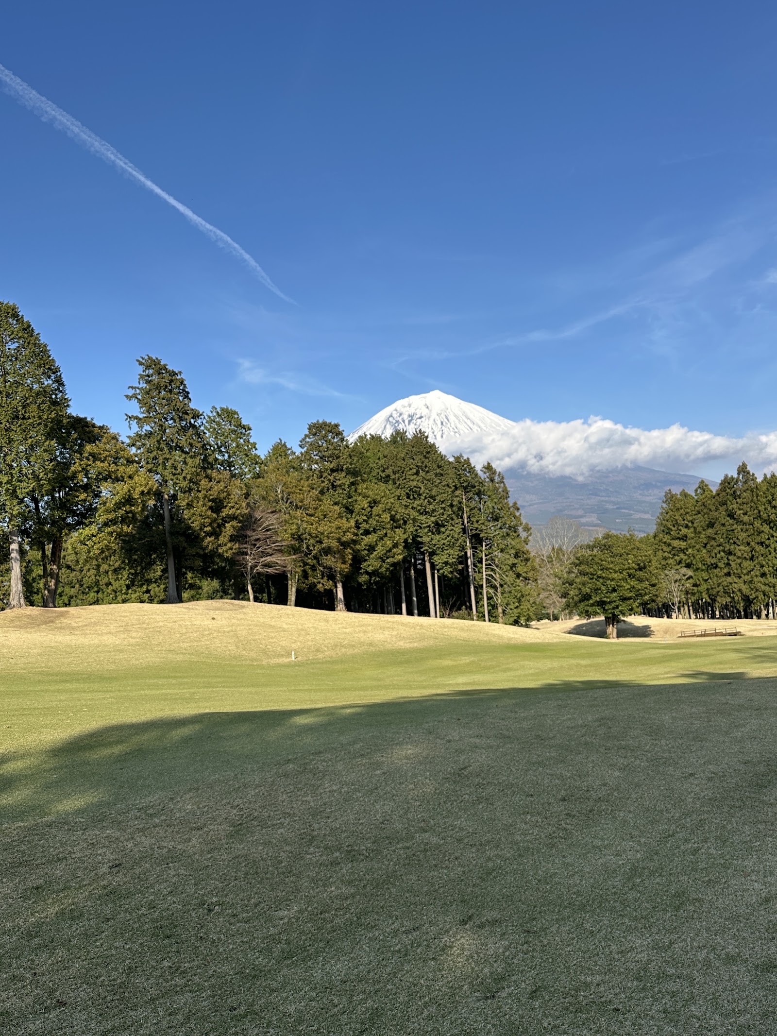 Odakyu Nishi-Fuji Golf Club - 6