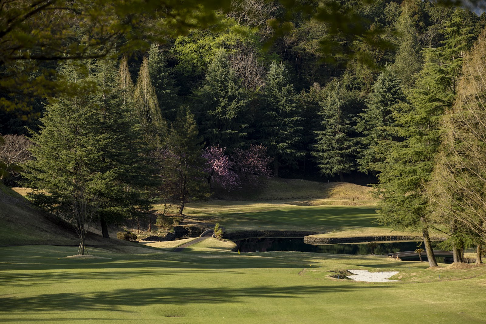 Dai-Sagami Country Club - 3