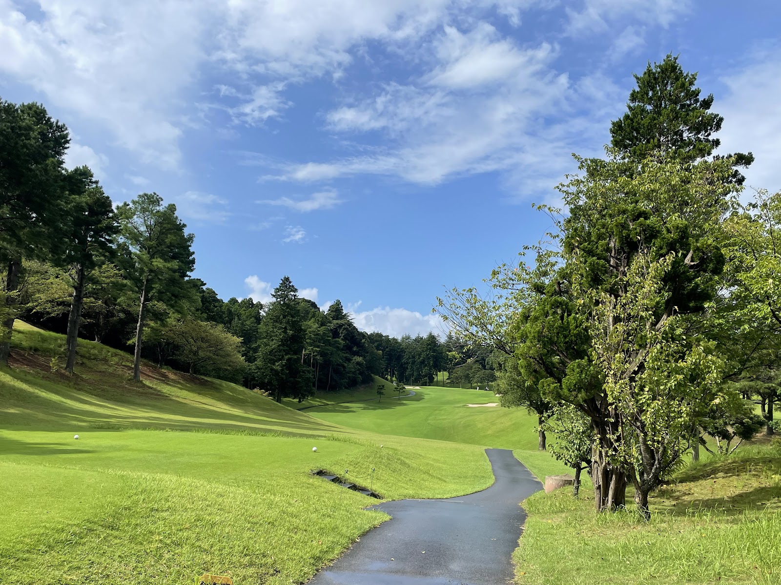 Anegasaki Country Club